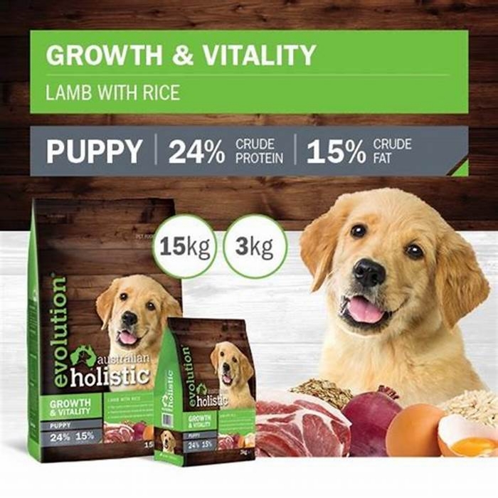 Fueling Puppy Vitality Understanding the Nutritional Value of Holistic Pet Food