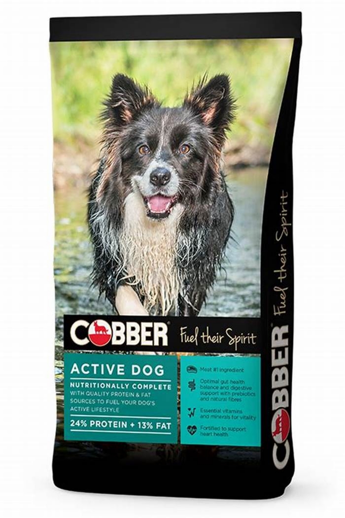 Fueling Your Dog s Adventures Understanding the Benefits of River Run Pet Food