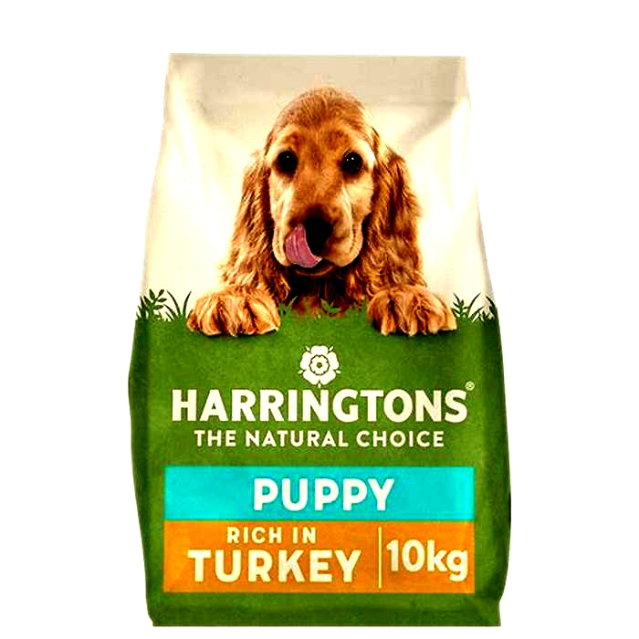 harringtons puppy food