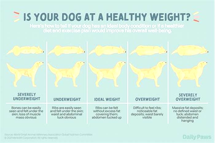 Helping Your Dog Reach a Healthy Weight: Strategies for a Balanced Diet