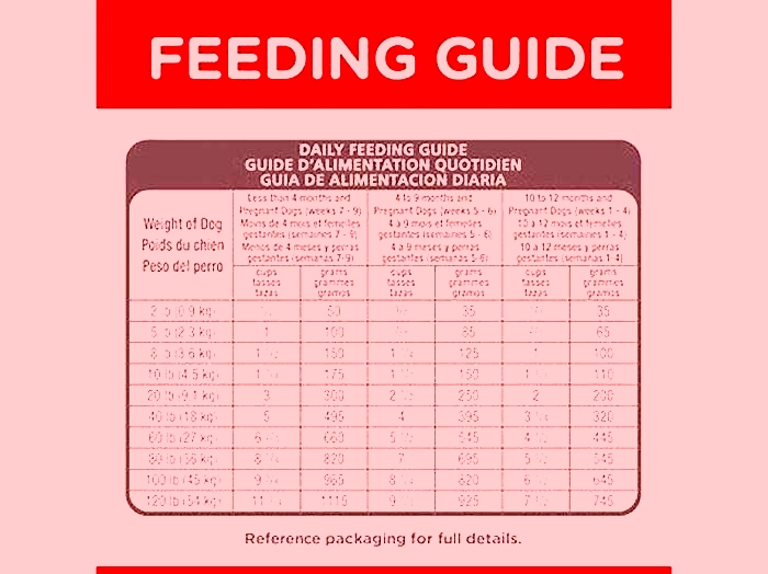 hill s science diet puppy feeding chart