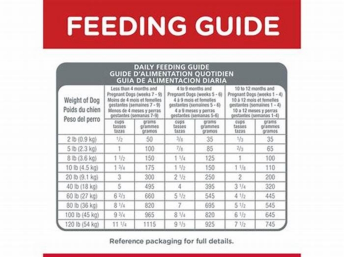 hill s science diet puppy feeding guide