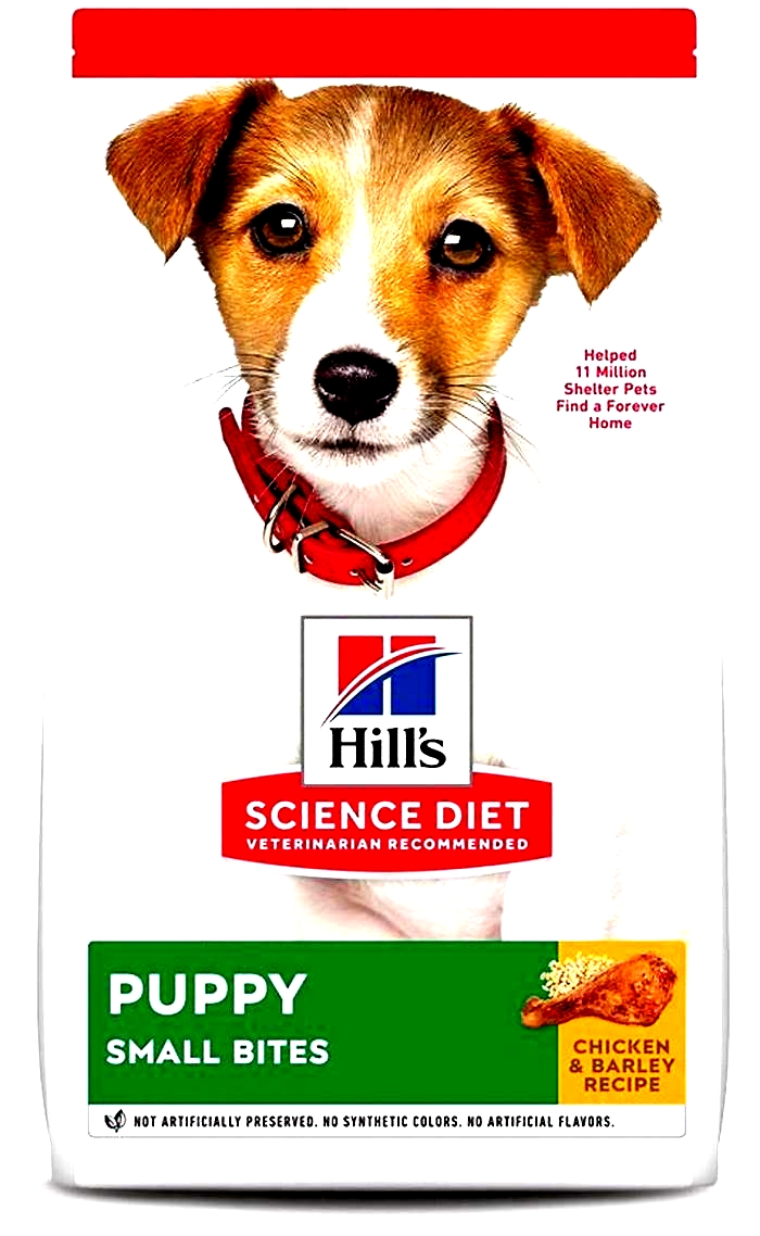 hills science diet puppy small bites