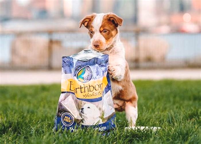 Holistic Puppy Food: Fueling Puppy Wellness from the Inside Out