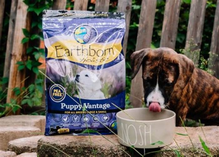 Holistic Puppy Food: The Ultimate Choice for Discerning Pet Owners