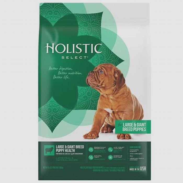 holistic puppy food