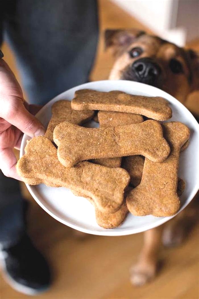 Homemade Delights to Help Your Dog Slim Down Recipes for Canine Weight Loss