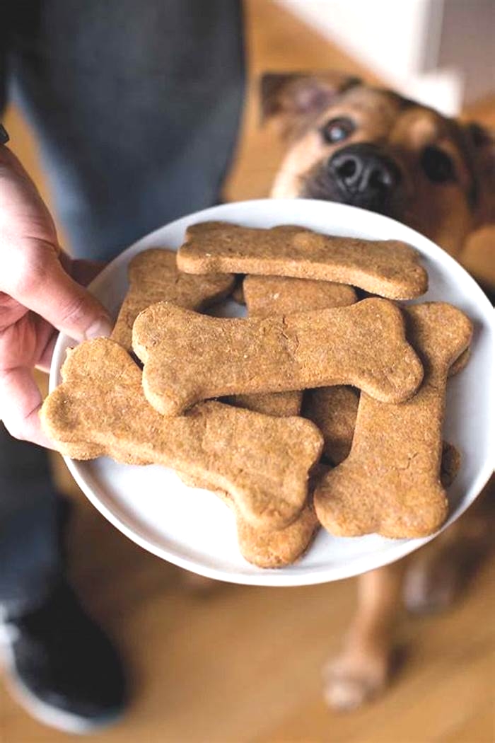 Homemade Delights to Help Your Dog Slim Down: Recipes for Canine