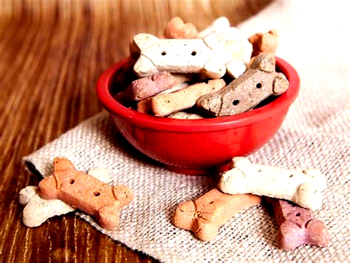 Homemade Doggy Delicacies for Weight Loss: Recipes to Support Your Pup's Health