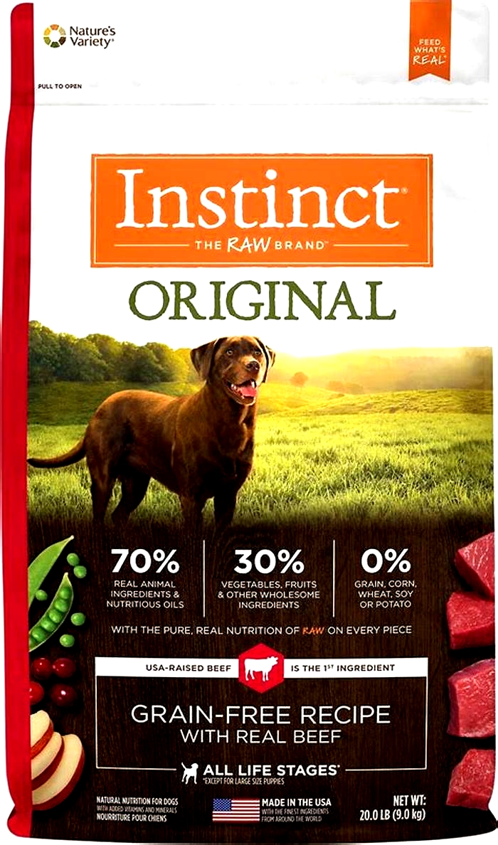 Investigating the Best Dry Dog Food Brands for Weight Management