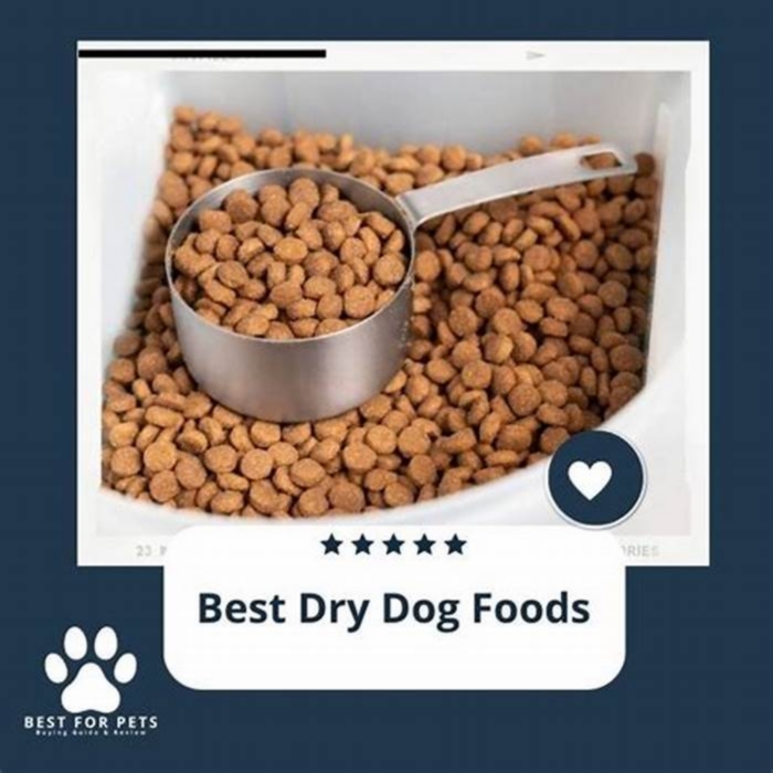 Key Considerations for Choosing the Best Dry Dog Food to Aid in Weight Loss