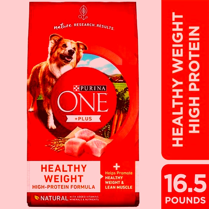 Maximizing Canine Health with the Best Dry Dog Food Options for Weight Loss