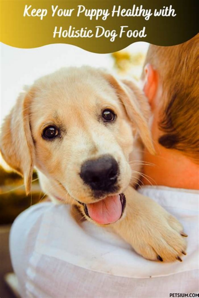 Maximizing Puppy Happiness The Role of Holistic Pet Food