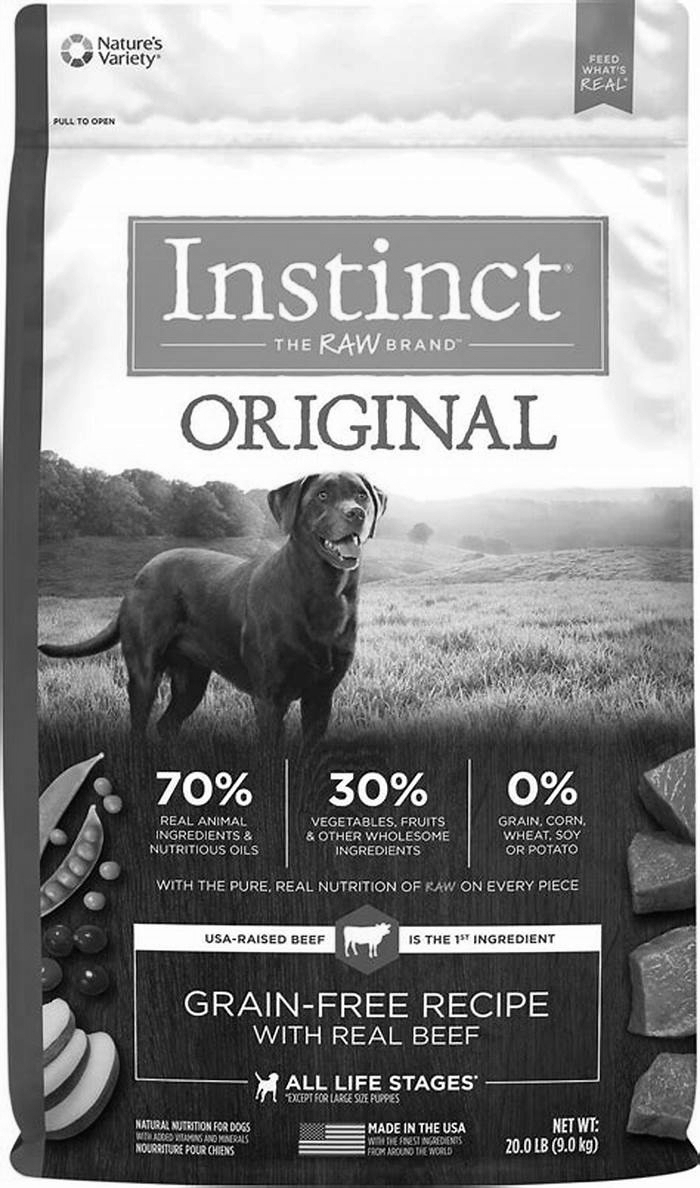 Maximizing Your Dog s Weight Loss Journey with High Quality Dry Food Options