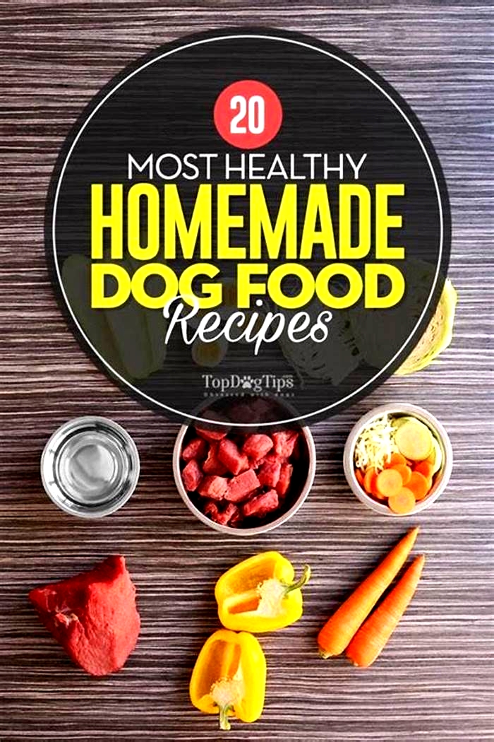 Nourishing Your Dog from Scratch Homemade Food Recipes for Weight Loss