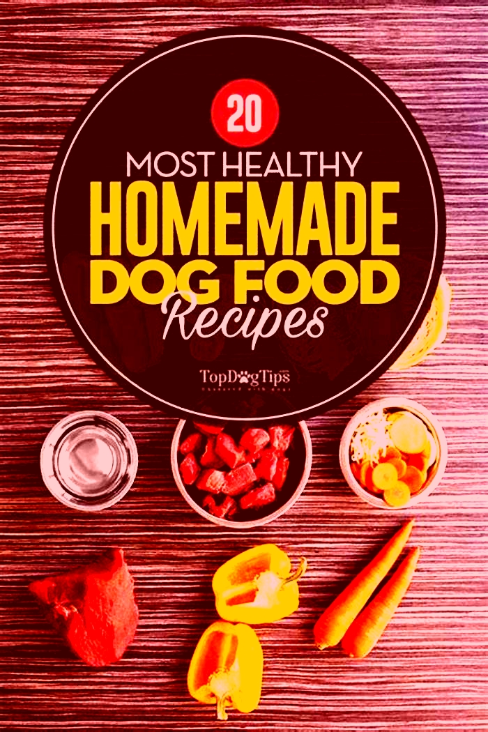 Nourishing Your Dog from Scratch: Homemade Food Recipes for Weight Management