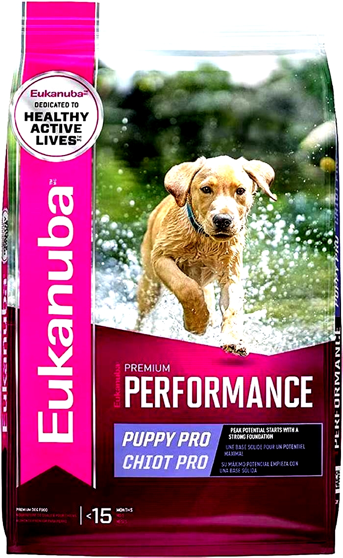 Nourishing Your Furry Friend Exploring the Benefits of River Run Pet Food