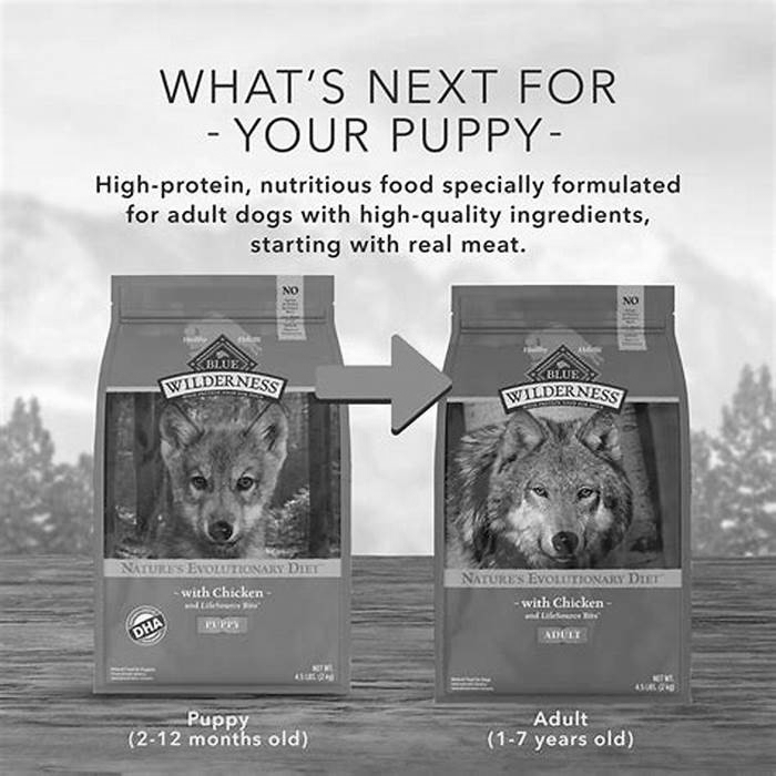 Nourishing Your Furry Friend Exploring the Benefits of True Meals Pet Food