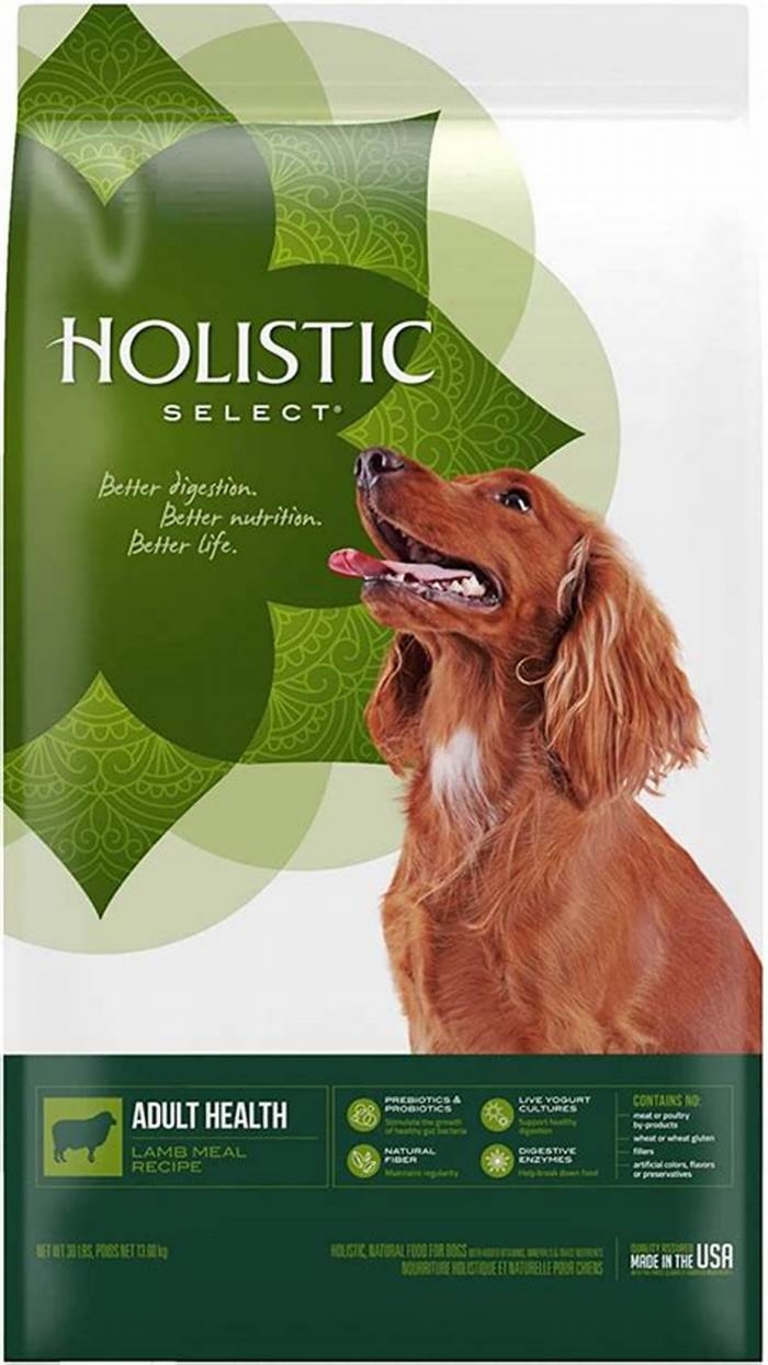 Nourishing Your Furry Friend: The Benefits of Choosing Holistic Puppy Food