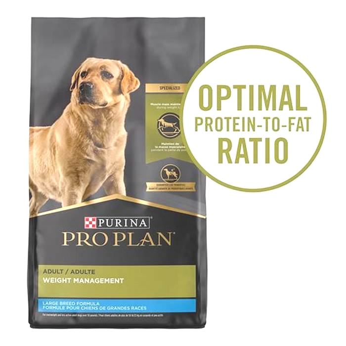 Nourishing Your Furry Friend The Benefits of Choosing Top Breed Dog Food