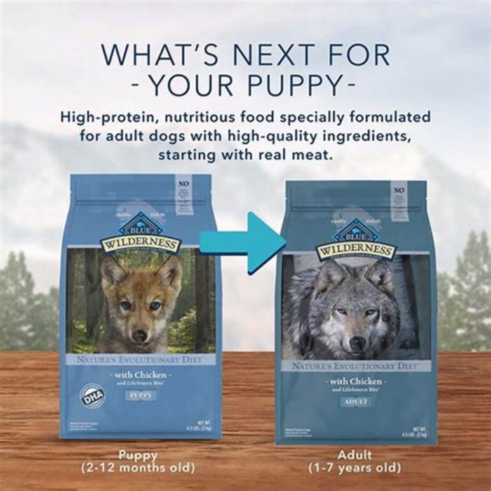 Nourishing Your Furry Friend The Benefits of Top Breed Pet Food