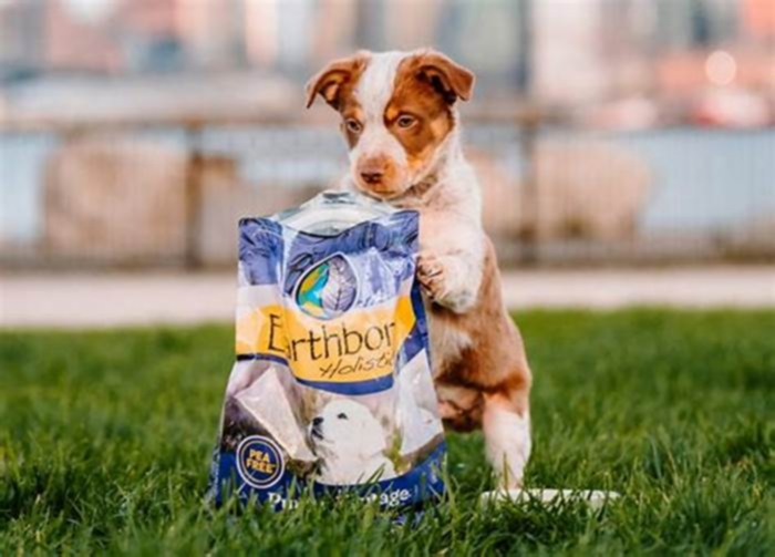 Nourishing Your Furry Friend: Understanding the Importance of Holistic Puppy Food