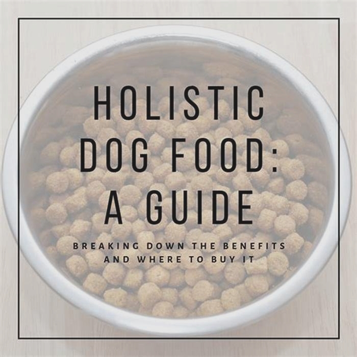 Nourishing Your Puppy's Body and Soul: The Benefits of Holistic Pet Food