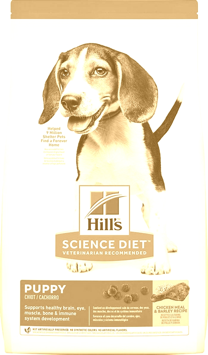 Nourishing Your Puppy s Brain with Science Diet Nutrition