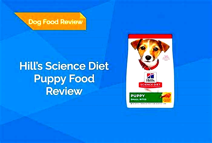 Nourishing Your Puppy s Future with Science Diet Nutrition