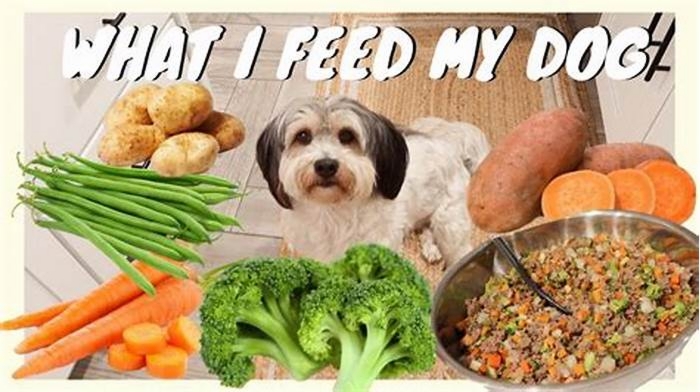 Optimal Canine Wellness: The Role of Top Breed Pet Food in Your Dog's Health