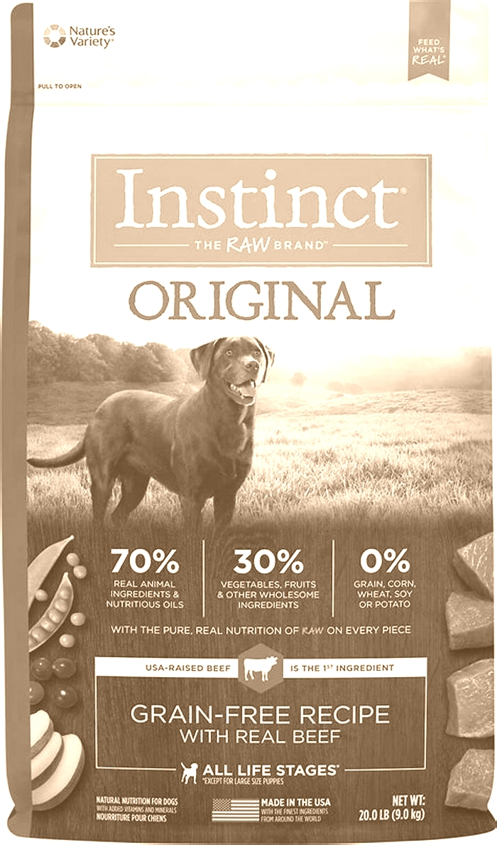 Optimal Dry Dog Food Choices for Canine Weight Loss