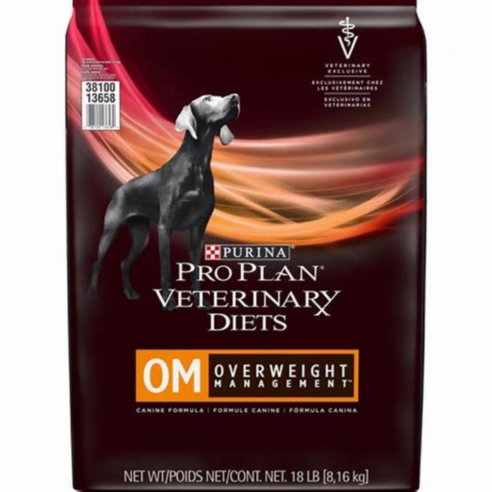 Overweight Dog Solutions Crafting a Nutritious Canine Diet