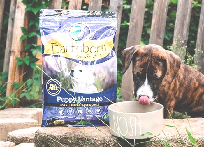 Premium Nutrition for Your Pet: The Benefits of Choosing Holistic Puppy Food