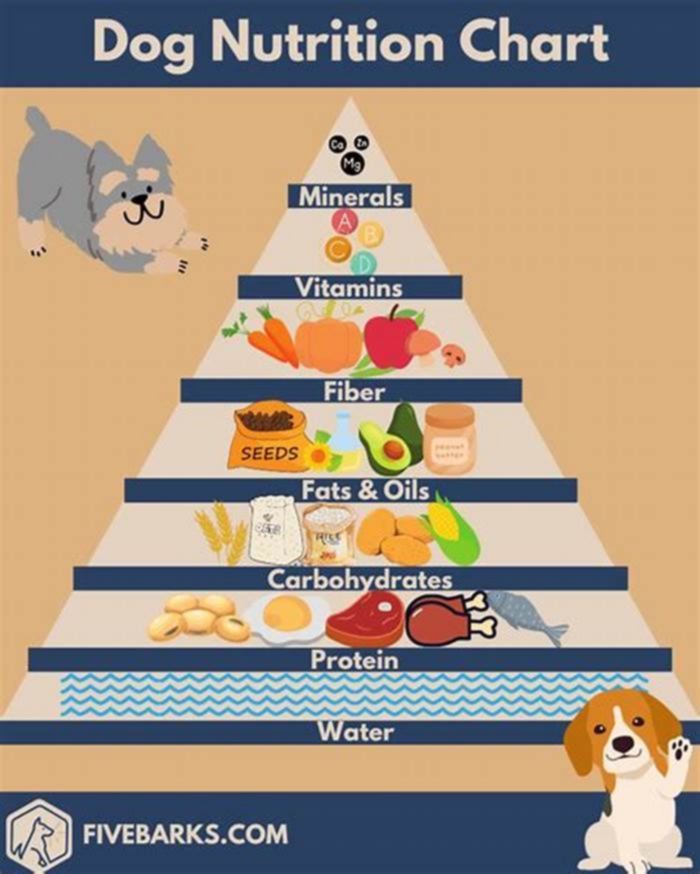 Premium Pet Care Understanding the Importance of Top Breed Puppy Nutrition