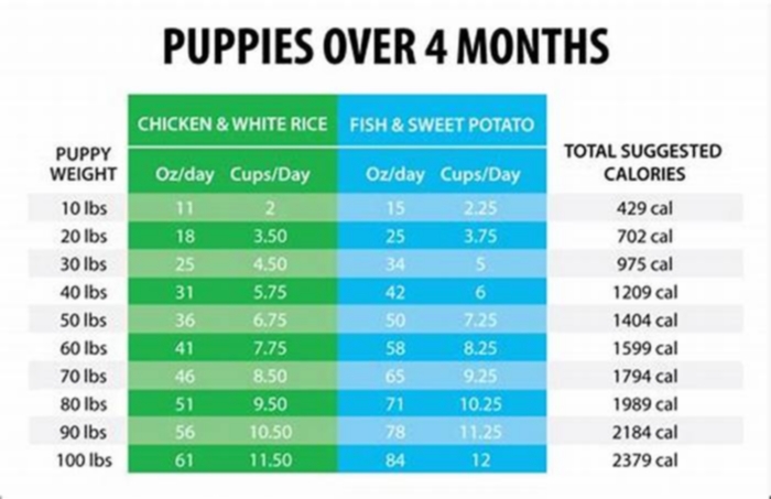 Science Diet Puppy Food: A Complete Guide