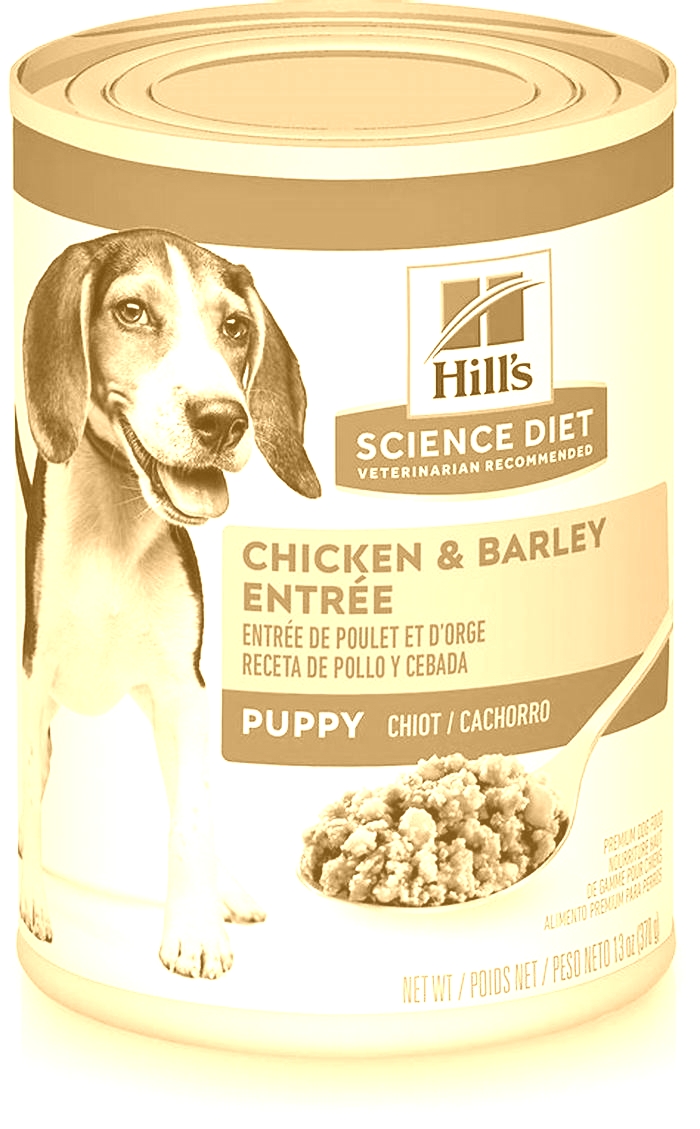 Science Diet Puppy Food Building Blocks for a Healthy Future