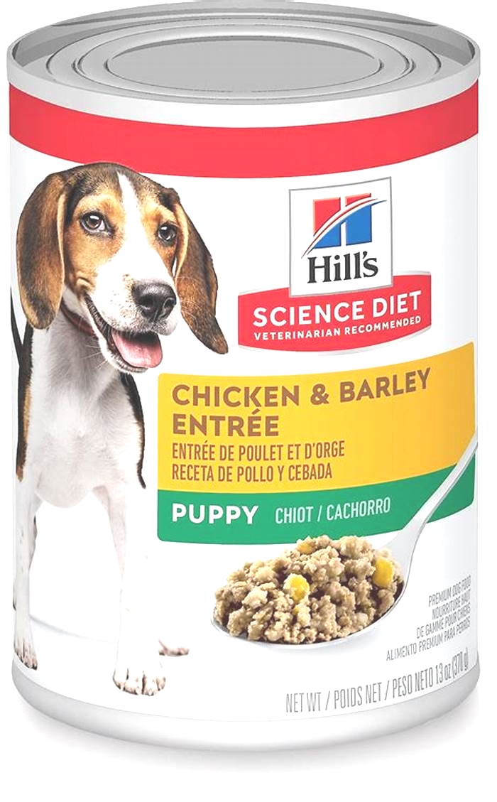 Science Diet Puppy Food: Key Considerations