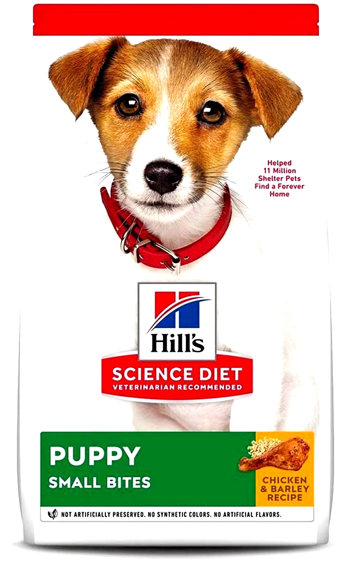 Science Diet Puppy Food: The Key to Puppy Health