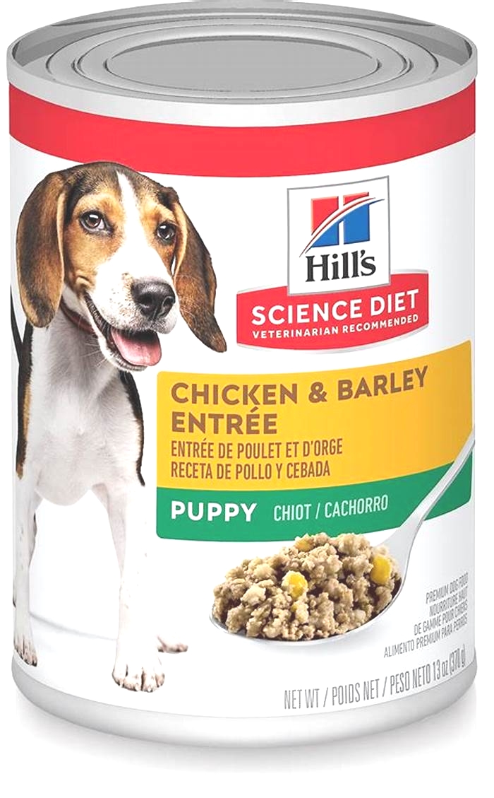 Selecting the Right Science Diet Puppy Food Formula for Your Dog's Needs