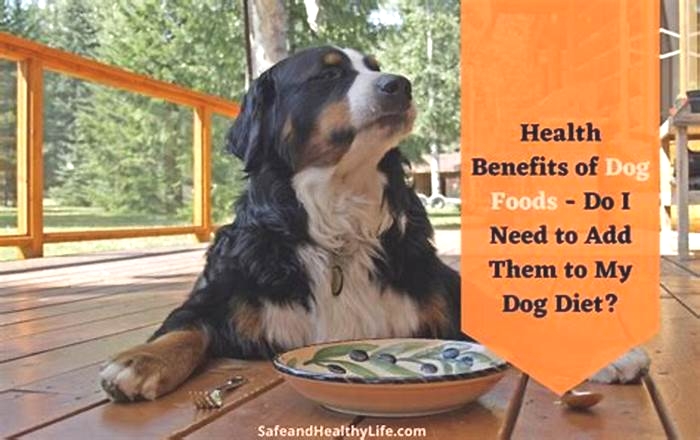 Supporting Your Dog's Health Journey: The Benefits of Top Breed Dog Food