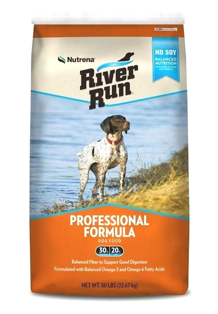 Supporting Your Dog s Well Being Understanding the Impact of River Run Pet Food