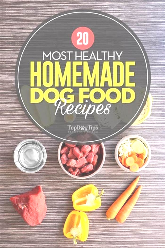 Supporting Your Dog's Wellness Journey: Homemade Food for Weight Control