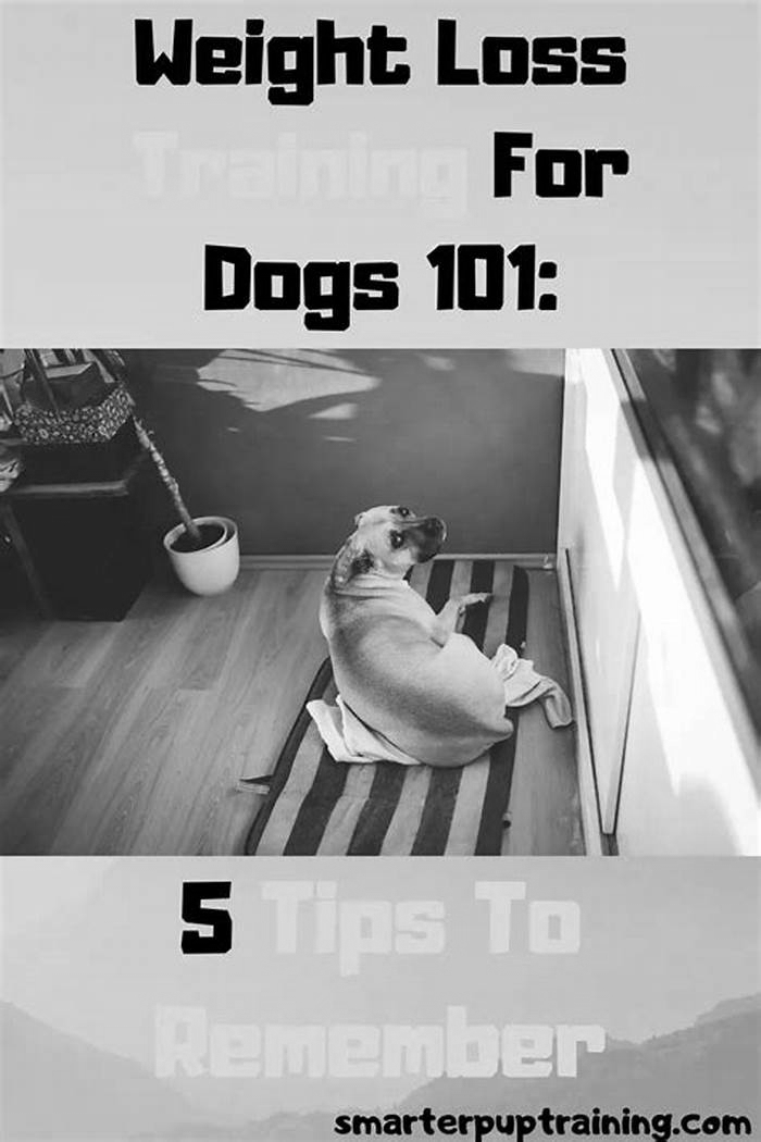 Supporting Your Pup s Weight Loss Journey Tips for a Healthy Dog Diet