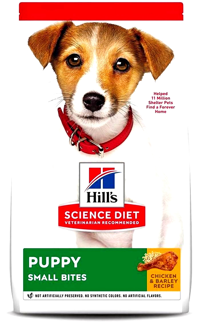 Supporting Your Puppy's Health Journey with Science Diet Nutrition