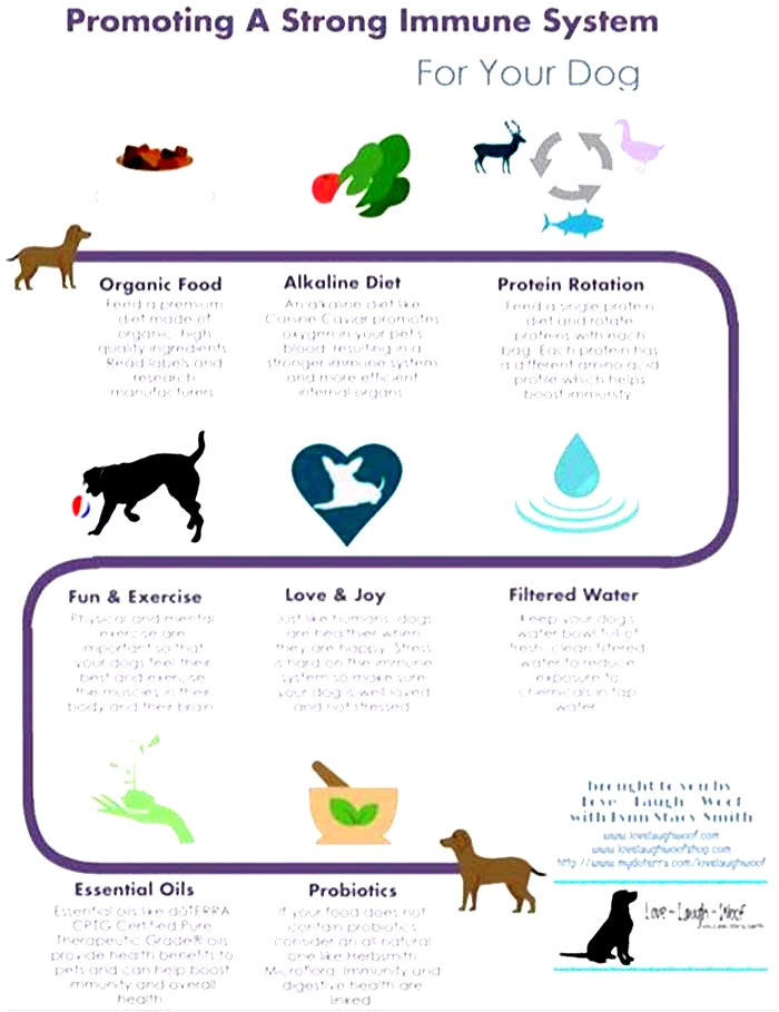 Supporting Your Puppy s Immune System with Science Diet