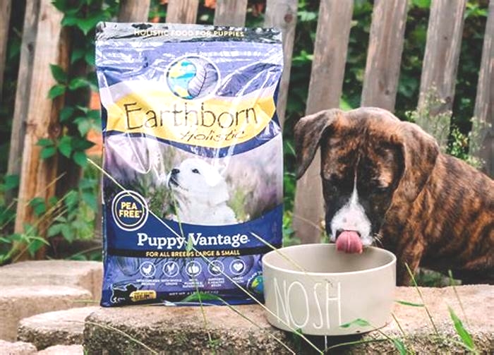 Tail-Wagging Goodness: Exploring the Nutritional Value of Holistic Puppy Food