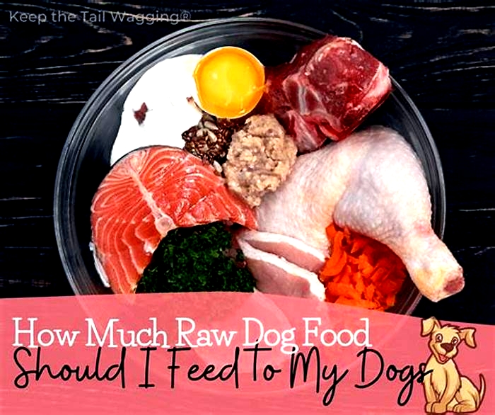 Tail-Wagging Nutrition: The Benefits of Incorporating Holistic Puppy Food into Your Pet's Diet