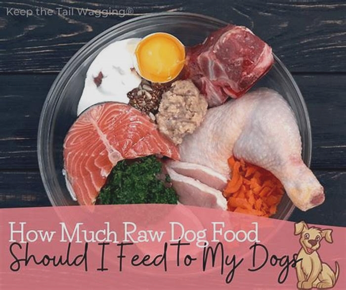 Tail Wagging Nutrition The Benefits of Incorporating True Meals Dog Food into Your Pet s Diet