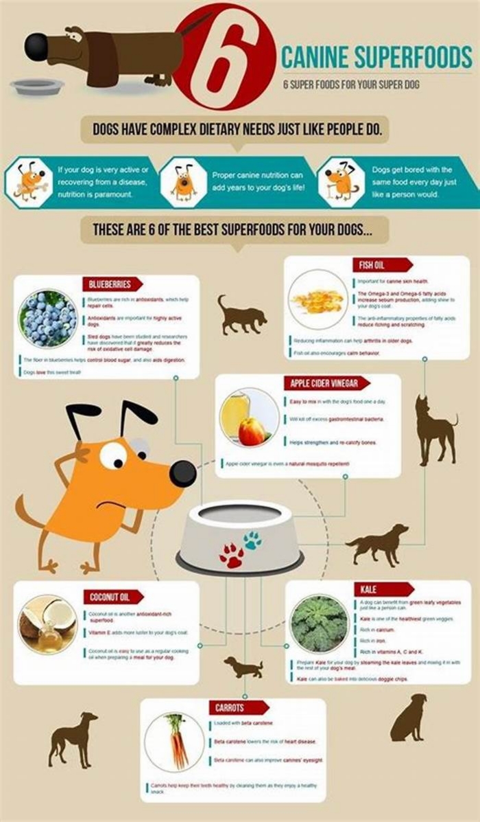 Tail-Wagging Nutrition: Why Top Breed Pet Food Is a Top Choice for Pet Owners