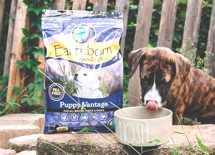 Tailored Nutrition for Your Puppy Exploring Holistic Pet Food